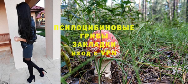 ПСИЛОЦИБИНОВЫЕ ГРИБЫ Кинешма