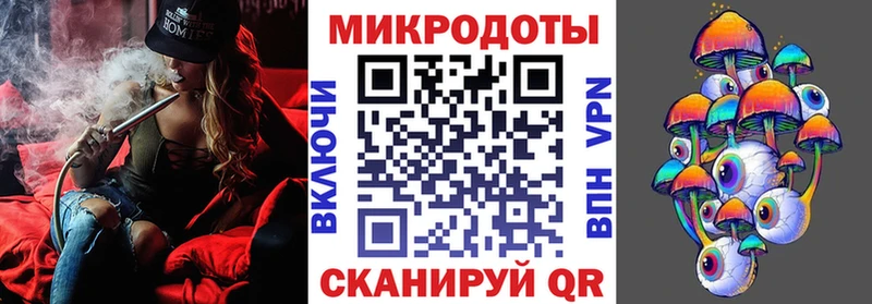 Галлюциногенные грибы Psilocybine cubensis  Купить где  Спасск-Рязанский 