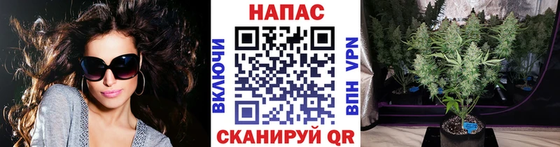 Марихуана ГИДРОПОН  Купить  Спасск-Рязанский 